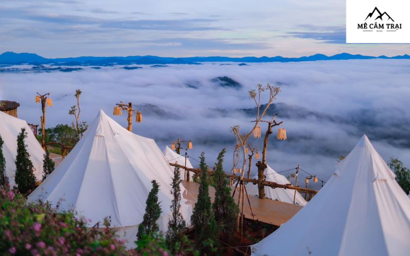 Cloud 9 Glamping mang lại trải nghiệm hòa mình vào thiên nhiên tuyệt vời ngay giữa lòng Đà Lạt