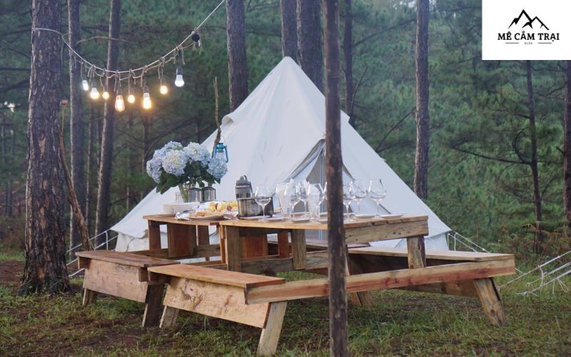 Twin Beans Farm mang đến trải nghiệm glamping độc đáo kết hợp với hoạt động nông trại tại Đà Lạt