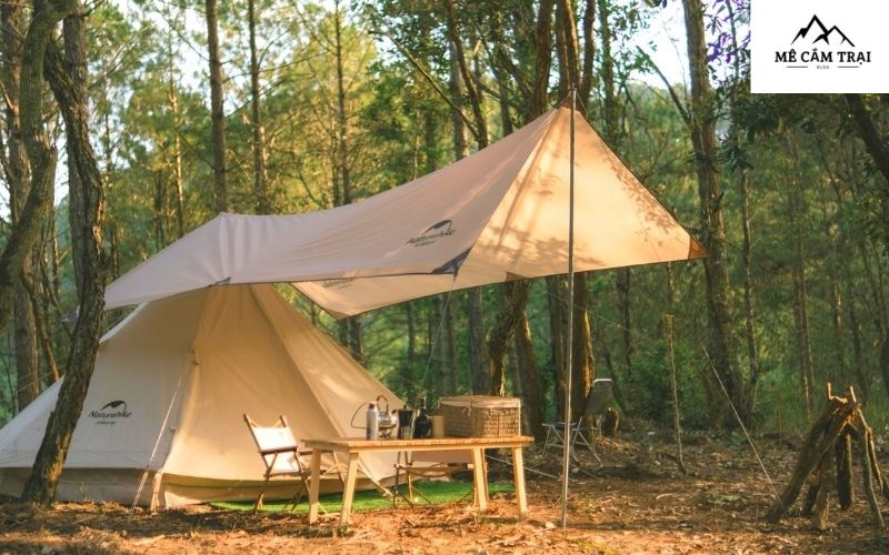 Lux Camp sẽ mang đến cho bạn những trải nghiệm tuyệt vời giữa thiên nhiên Đà Lạt