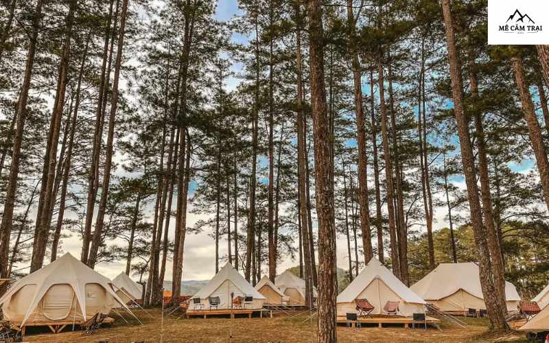 CampArt - Đà Lạt - Điểm glamping ở Việt Nam cực lý tưởng
