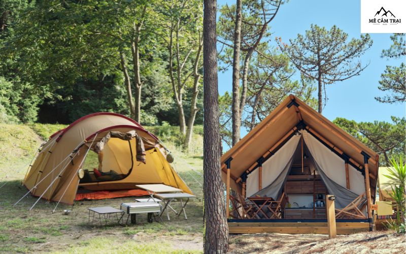 Giới thiệu tổng quan về Glamping và Camping
