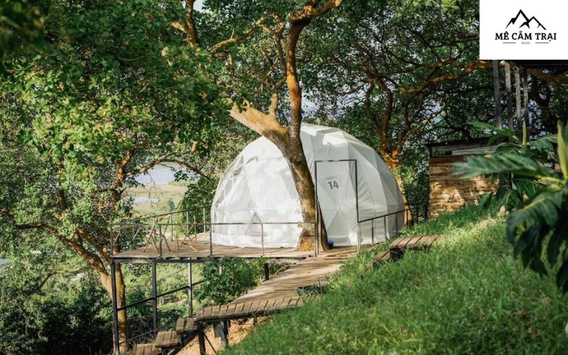 Tropical EGlamping