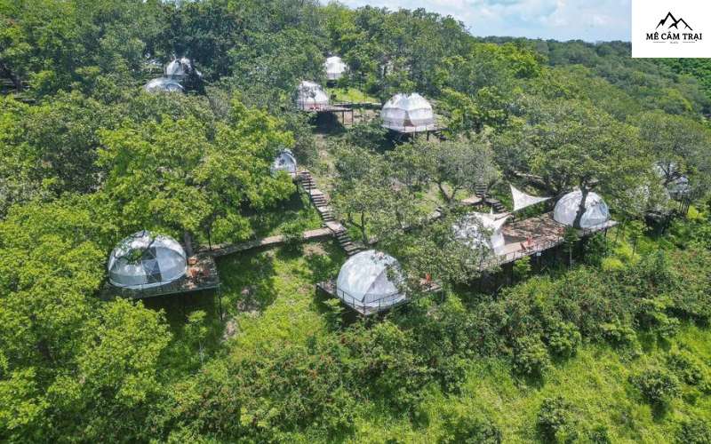 Tropical eGlamping (Dong Nai) điểm cắm trại đầy thích thú
