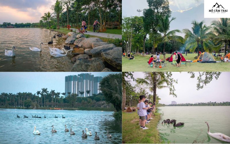 Cắm trại ở Ecopark hồ Thiên Nga