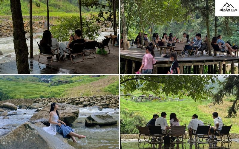 Các hoạt động cắm trại tại khu cắm trại Wecamp Glamping