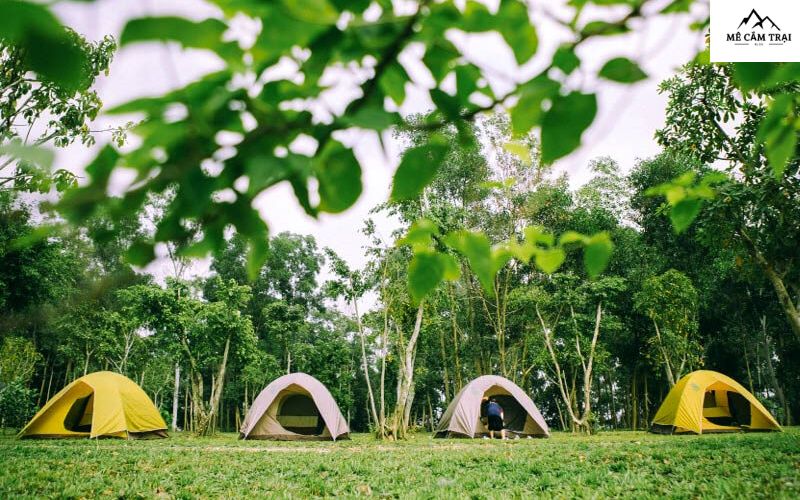 Camping Sport Đồng Mô