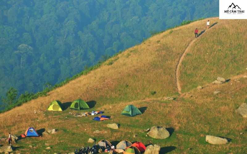 Cao nguyên Đồng Cao, Sơn Động, Bắc Giang