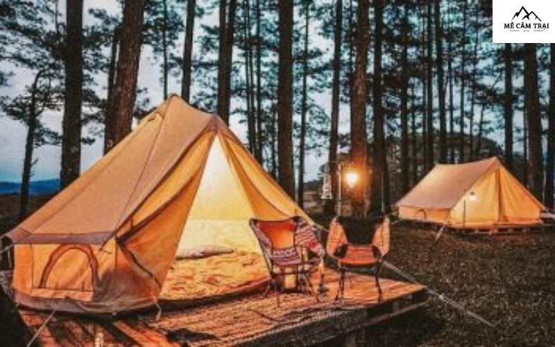 Khung cảnh khu cắm trại Dalat Camp Lạc Dương vào ban đêm