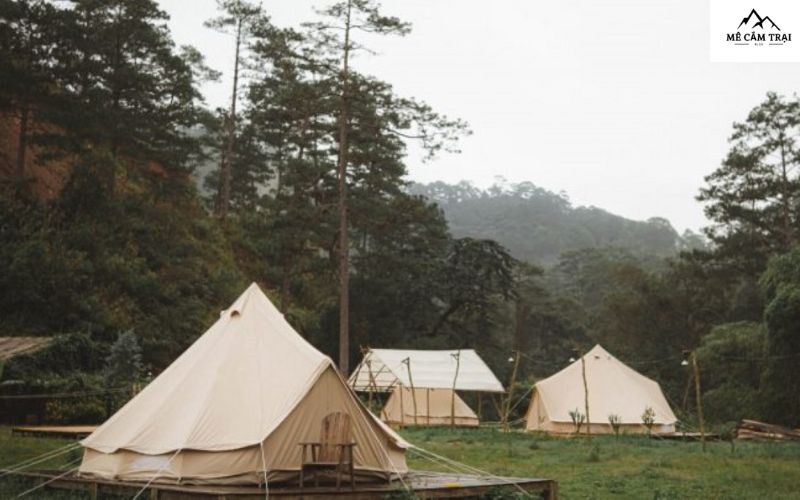 Dalat Camp Lạc Dương - Trải nghiệm cắm trại độc đáo giữa thiên nhiên