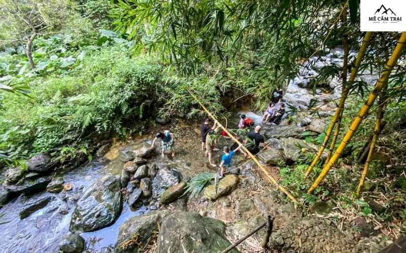 Đắm mình trong dòng suối trong vắt và không gian tĩnh lặng