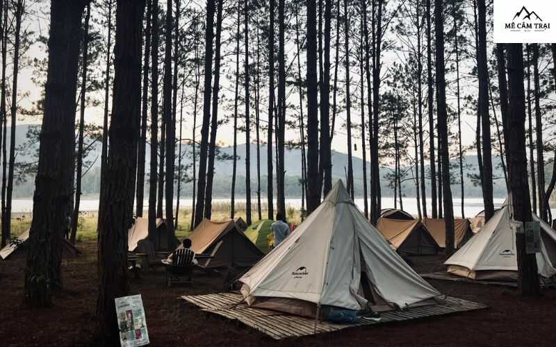 Khu Dã Ngoại - Lux Camp Đà Lạt