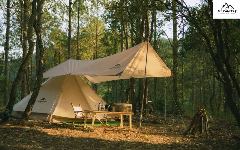 Khu Dã Ngoại - Lux Camp Đà Lạt