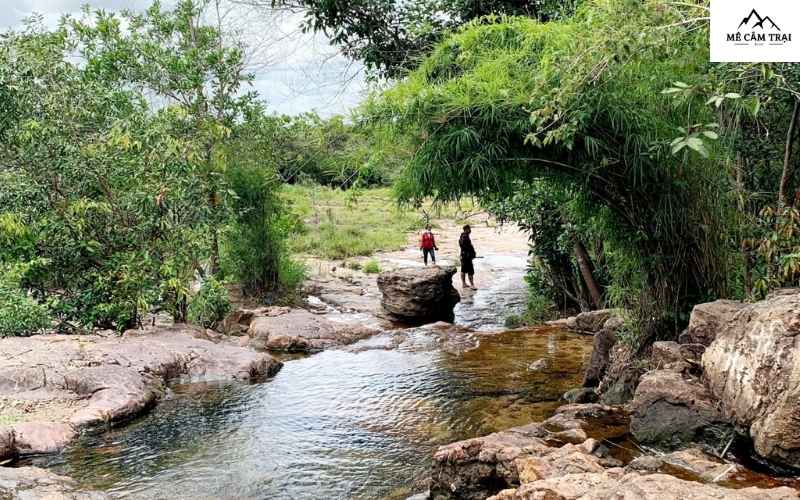 Rừng trúc - không gian tĩnh lặng, xanh mát, là nơi lý tưởng để bạn thả lỏng và hòa mình vào thiên nhiên