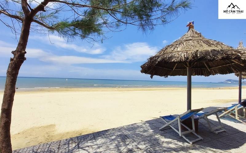 "Chìm đắm trong vẻ đẹp của biển cả và rừng dương tại Vũng Tàu Paradise