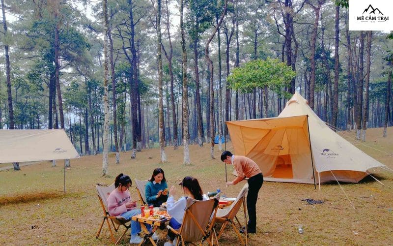 Rừng thông Yên Minh - Camping Hà Giang đẹp