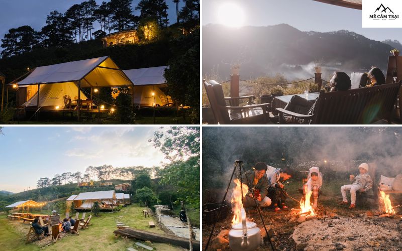 Twin Beans Farm Lâm Đồng - Khu glamping và nghỉ dưỡng giữa đồi cà phê