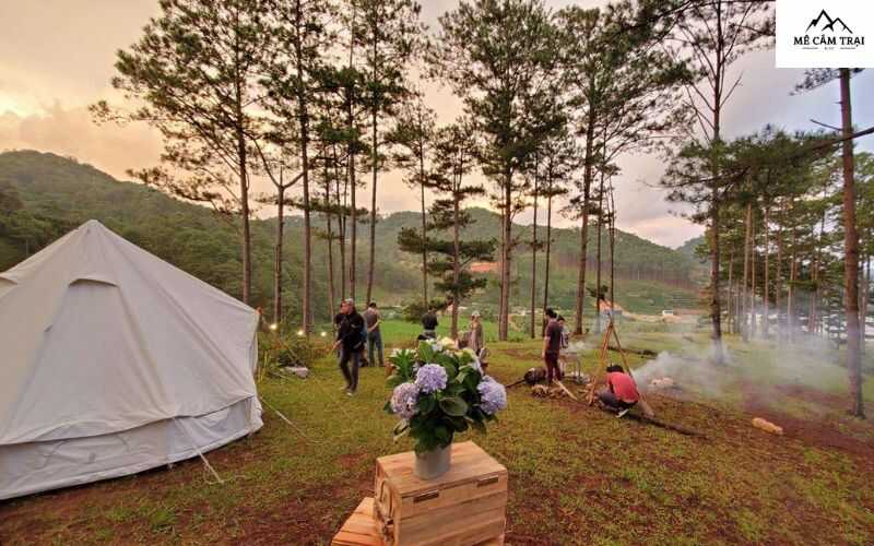 Twin Beans Farm Lâm Đồng - Khu glamping và nghỉ dưỡng giữa đồi cà phê