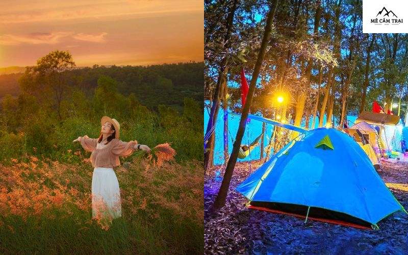 Bãi cỏ hồng Tứ Kỳ – Điểm camping độc đáo tại bến đò Sĩ