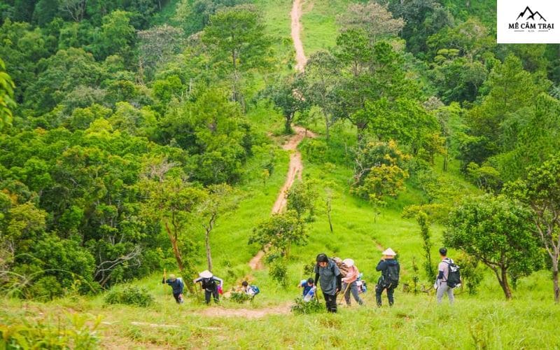 Thảm cỏ xanh tuyệt đẹp trên cung đường trekking Tà Năng