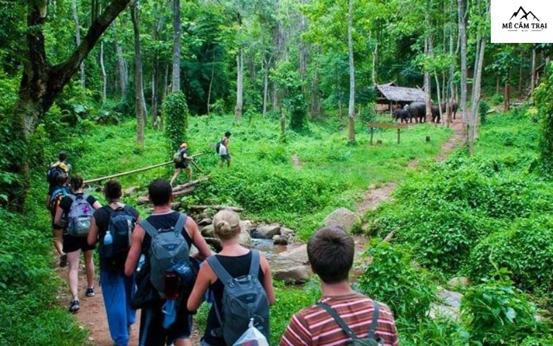 cắm trại kết hợp trekking Vườn quốc gia Cúc Phương (Ninh Bình)