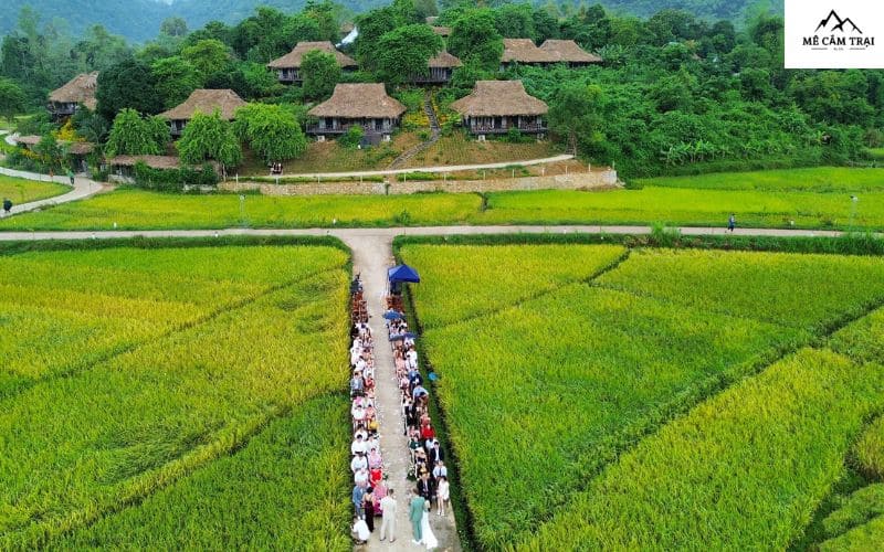 Địa điểm cắm trại Bạc Liêu - The Rice Farm