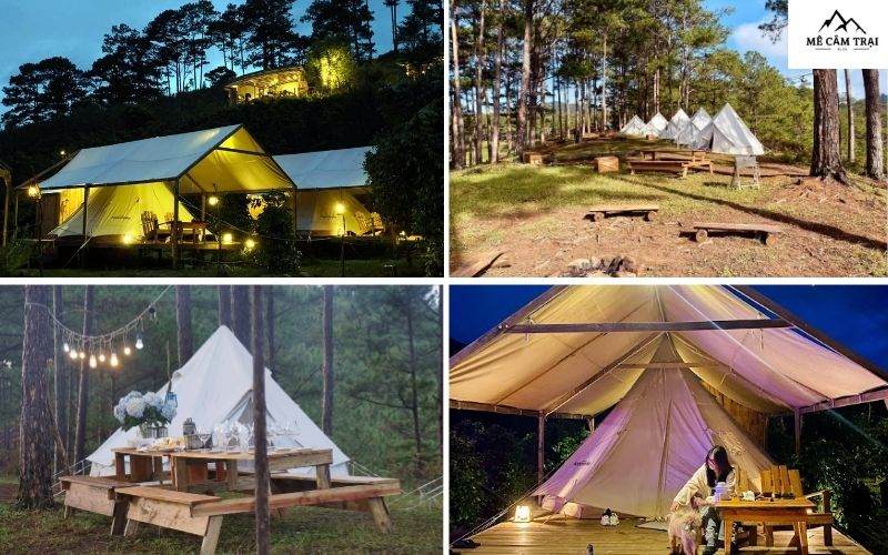 Dịch vụ Glamping cắm trại trên đồi thông