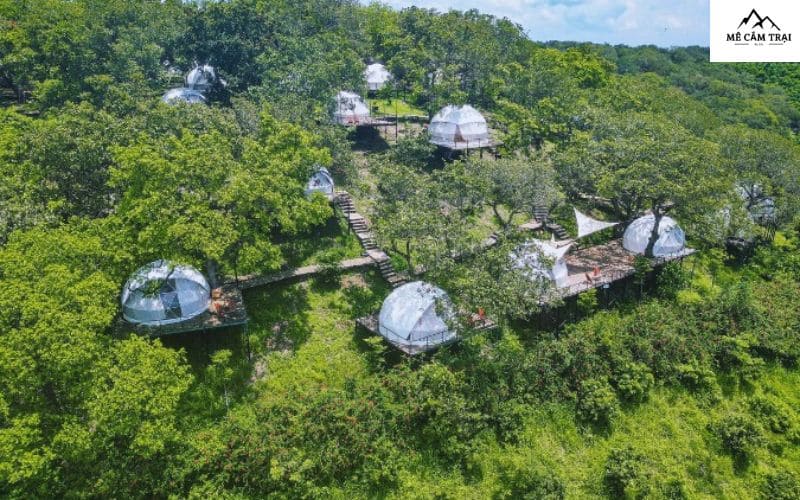 Đôi nét về Tropical EGlamping