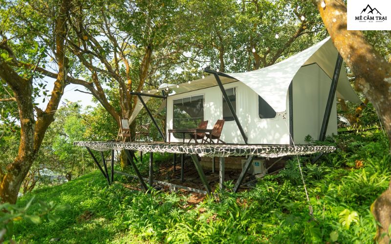 Tropical EGlamping cung cấp nhiều dịch vụ cao cấp đến du khách