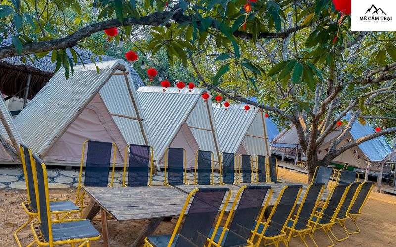 Kinh nghiệm cắm trại tại Khoai Camping Garden