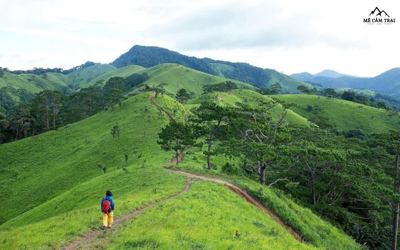 Nghiên cứu kỹ thời tiết khi đi cắm trại kết hợp trekking