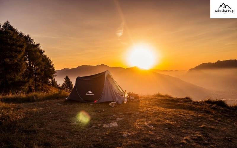 Jungle Camping Events – mang bạn đến gần hơn với thiên nhiên trong những chuyến đi