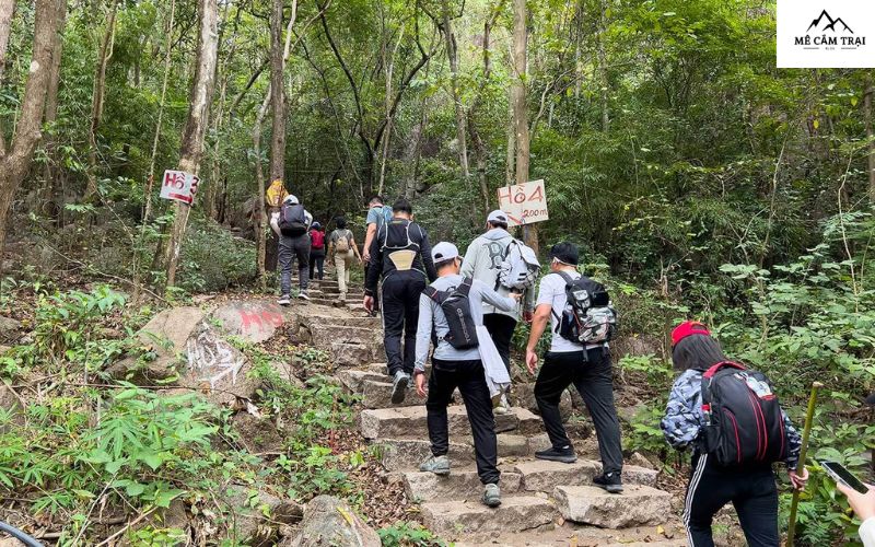 Leo núi và ngắm cảnh tại Suối Đá Vũng Tàu