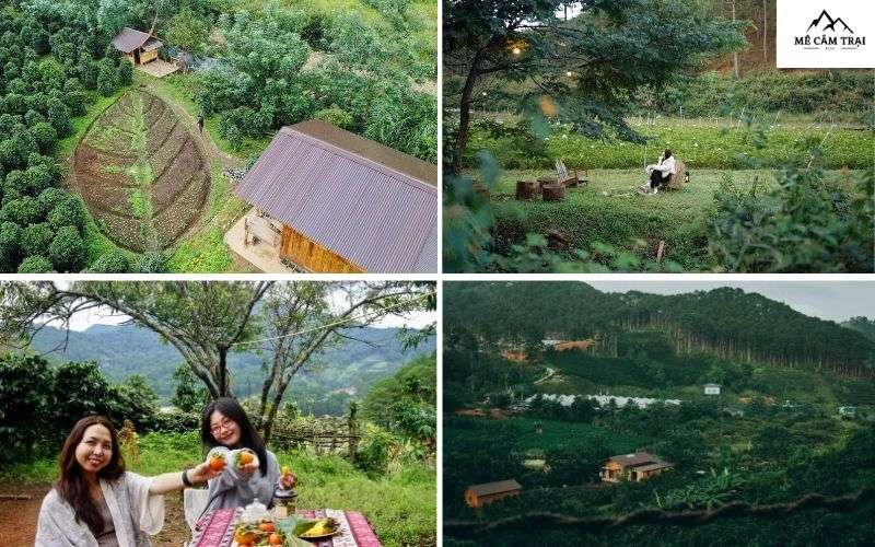 Lịch trình sinh hoạt tại Twin Beans Farm