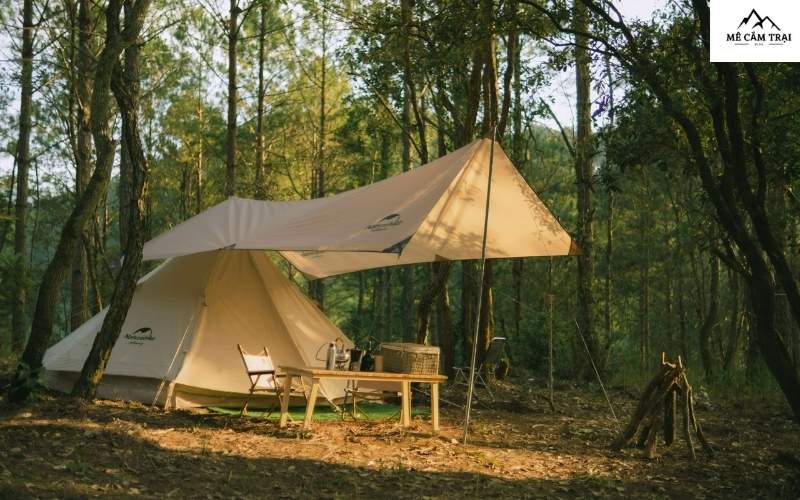 Khởi đầu hành trình đầy cảm hứng với Lux Camp Đà Lạt!