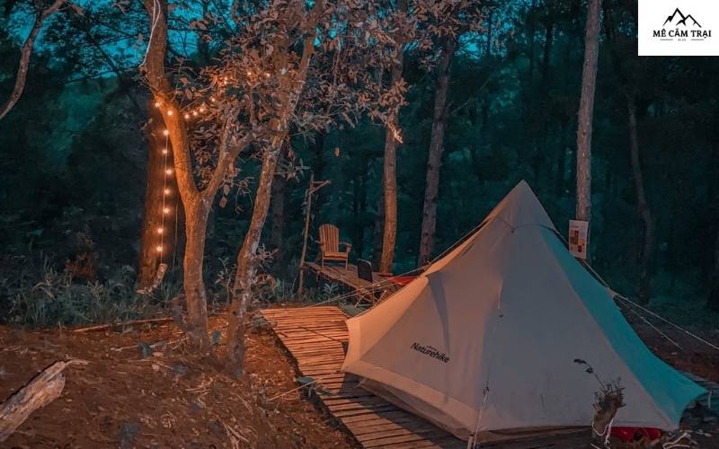 Khám phá Lux Camp Đà Lạt – nơi hội tụ của thiên nhiên và những trải nghiệm đáng nhớ