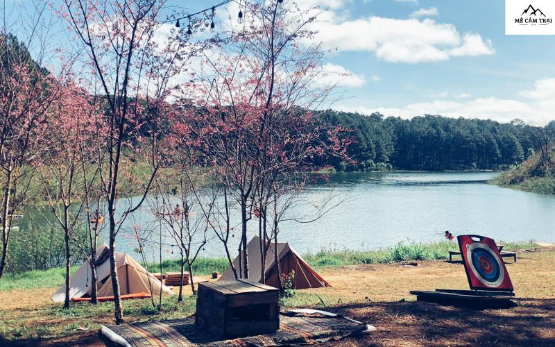 Những điểm thu hút tại khu Pineforest Camping Đà Lạt