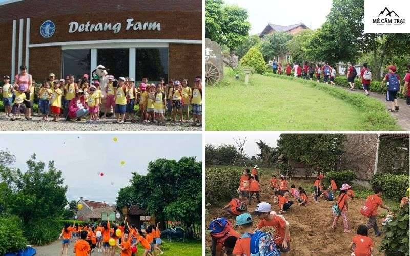 Khu cắm trại gần Hà Nội cho trẻ em - Nông trại học tập Detrang Farm