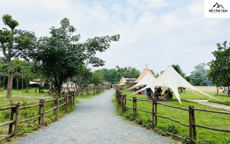 TreeFarm Coffee & Glamping: Điểm hẹn lý tưởng để thư giãn và kết nối với bạn bè