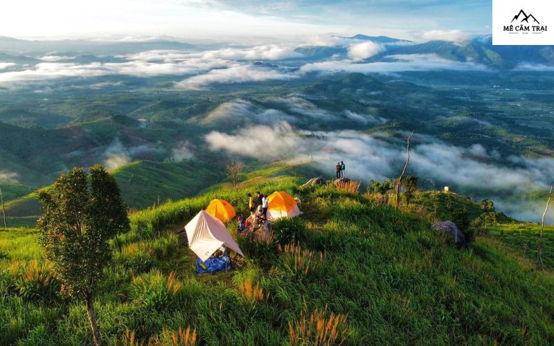 Cắm trại tại rừng lá phong đỏ và đỉnh núi Tam Ban