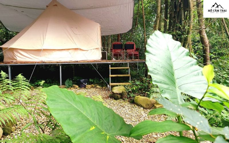 Suối Đá Trắng Glamping