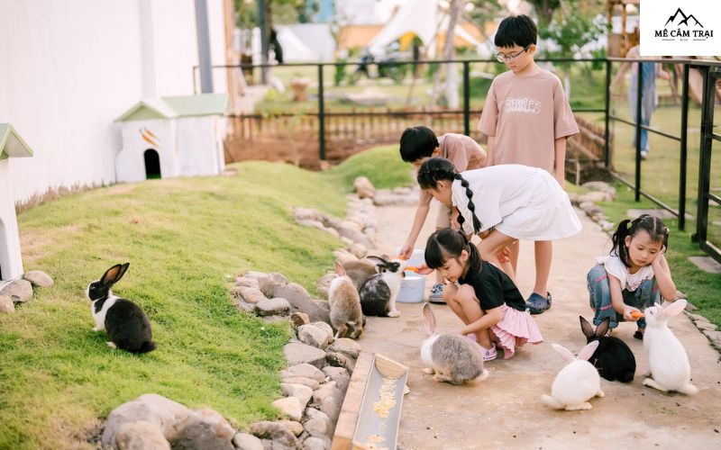 Tham quan các trang trại