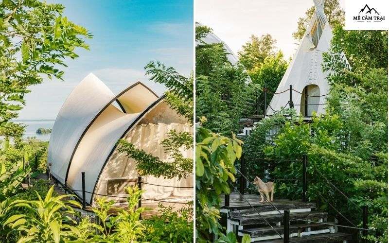 Thời điểm lý tưởng để đi cắm trại tại Panorama Glamping