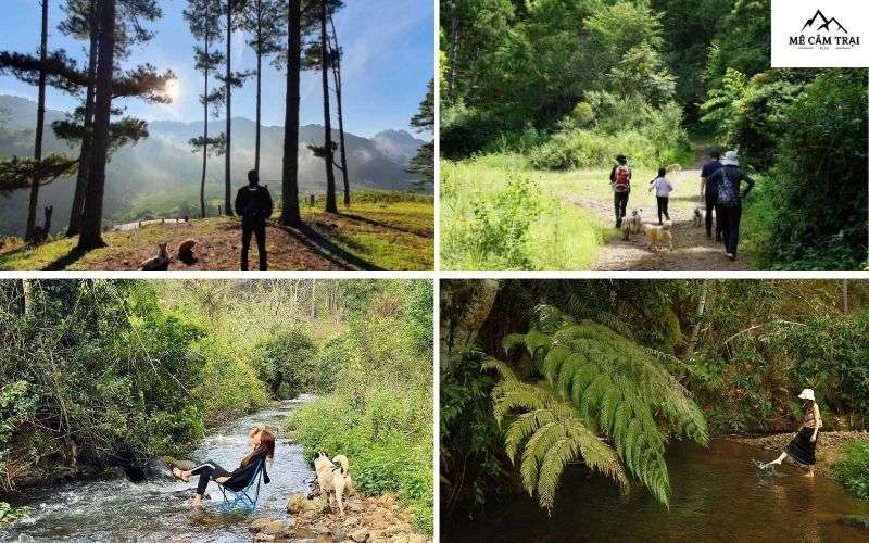 Trekking và khám phá thiên nhiên xung quanh