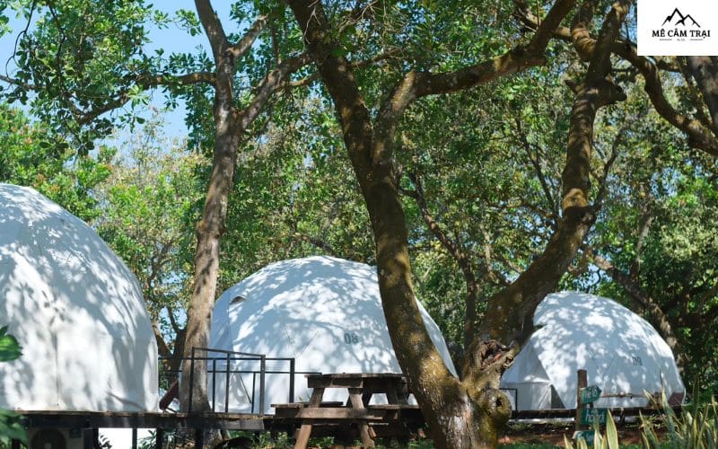 Tropical Glamping cho gia đình ở Đồng Nai