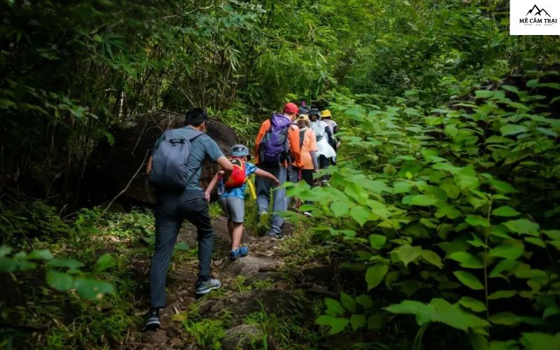 Trải nghiệm chuyến hành trình trekking và cắm trại Núi Dinh