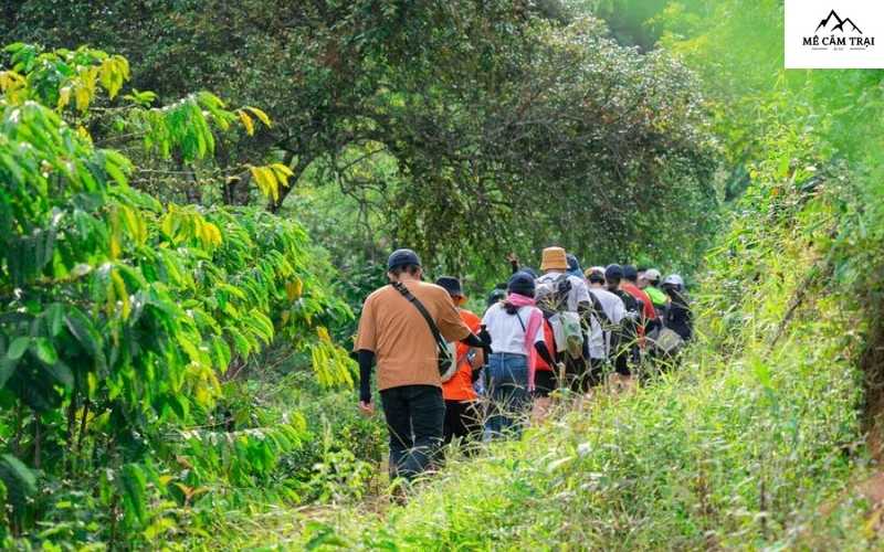 Chinh phục đỉnh núi Đại Bình, tận hưởng không khí trong lành và phong cảnh hùng vĩ