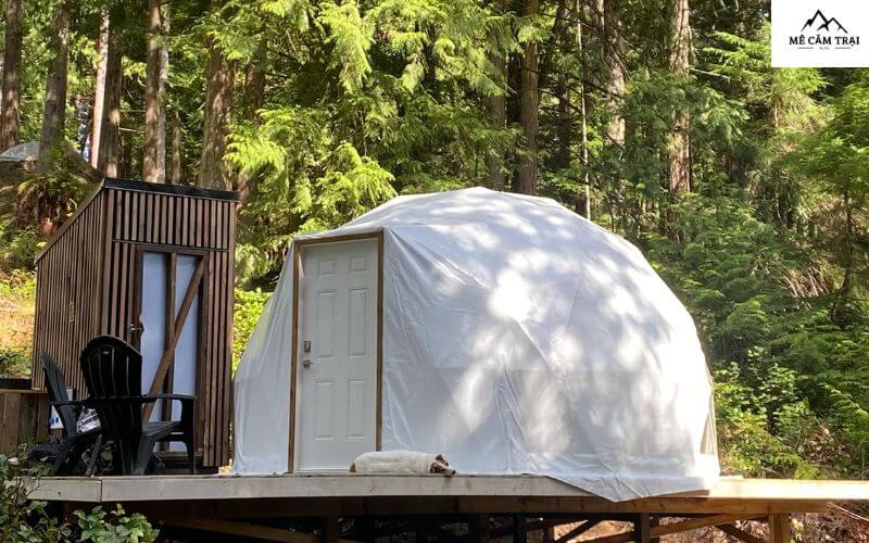 Trải nghiệm Eco glamping độc đáo 