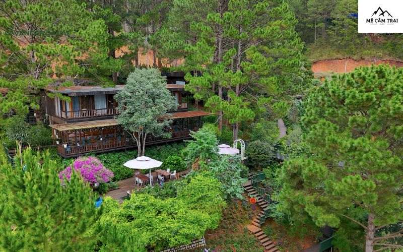 Thông tin đôi nét về địa điểm cắm trại sang trọng Lavender Glamping and Resort Dalat