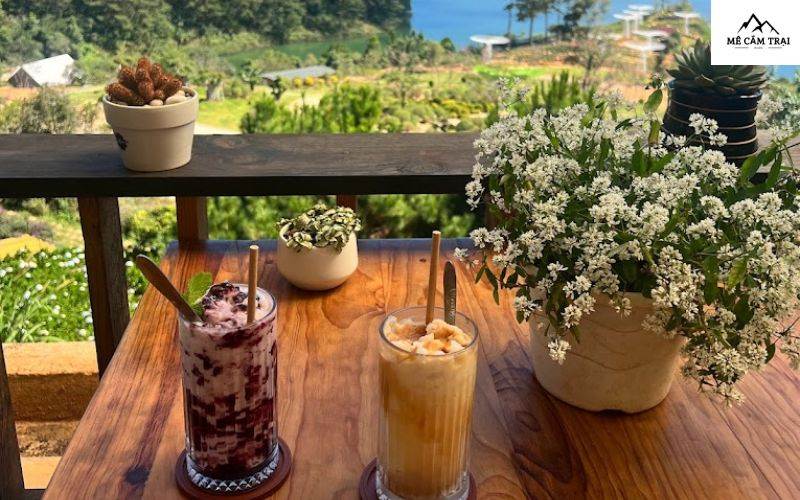 Trải nghiệm thưởng thức tại quán cafe Lavender Dalat giữa rừng thông