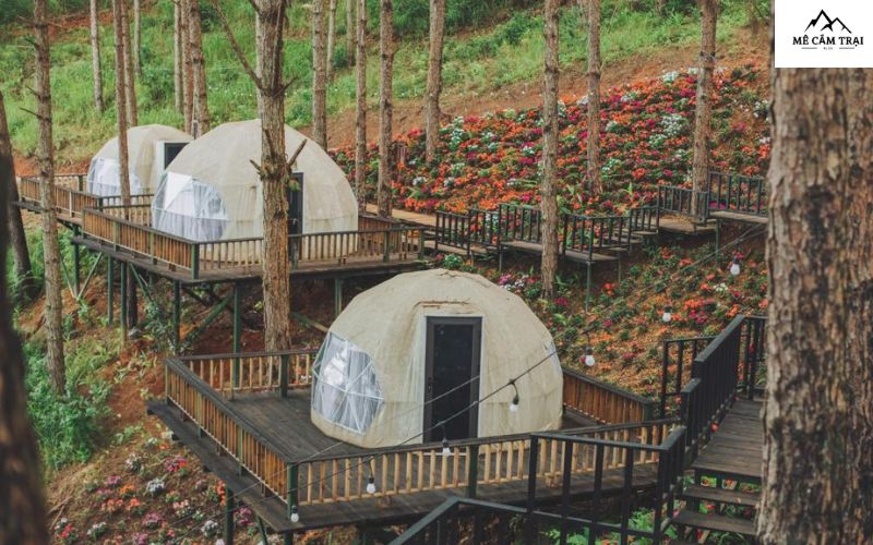 Lavender Glamping and Resort Dalat